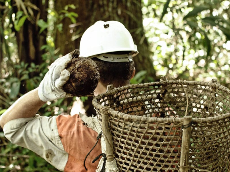 Jari Valley Project