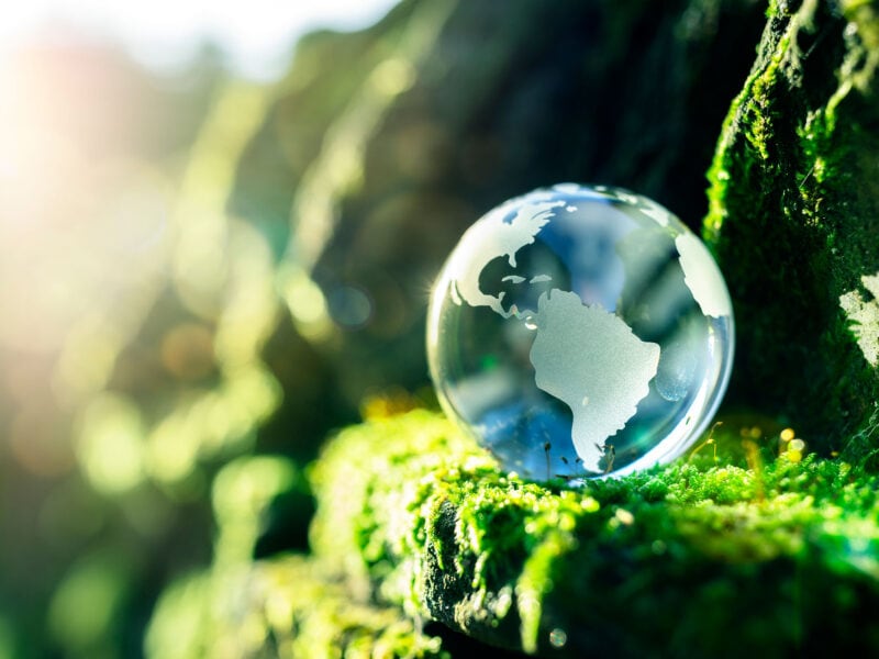 a glass globe on a green background